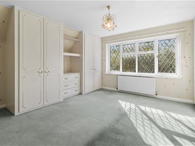 Picture 23
